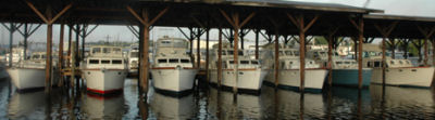 Huckins Bogie 44
