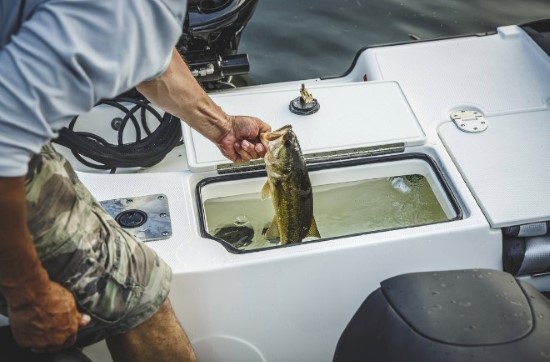 Larson FX 1850 DC livewell