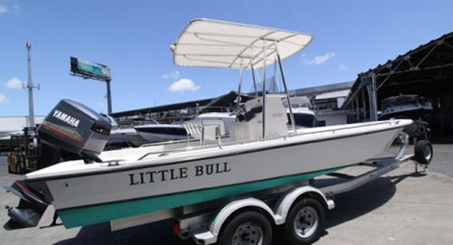 Little Bull
