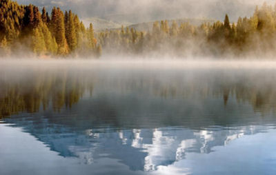 Mist