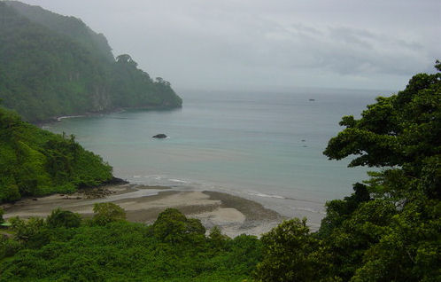 Misty Island