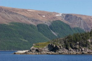 Newfoundland Coast
