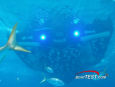 OceanLED3