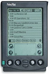 Palm