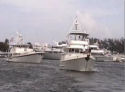 Nordavn