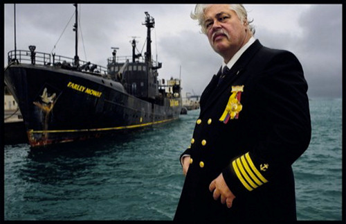 Whale Wars