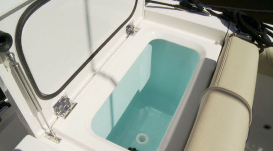 Pursuit DC 295 livewell