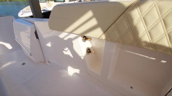 Regal 33 SAV wash downs