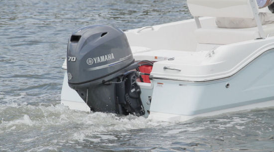 Robalo R160 transom