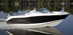 Robalo R207