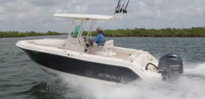 Robalo R222
