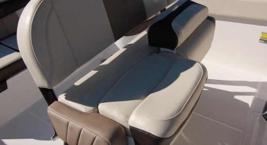 Robalo R242EX wide leaning post