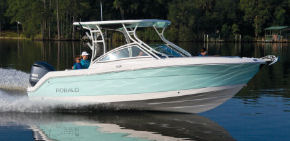 Robalo R247