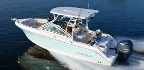 Robalo R247