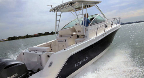 Robalo R305