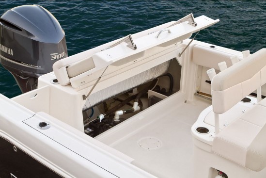 Robalo R242 transom