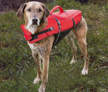 Safe Boating