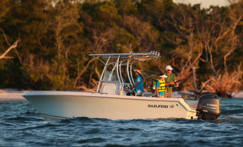 Sailfish 220CC engine choices