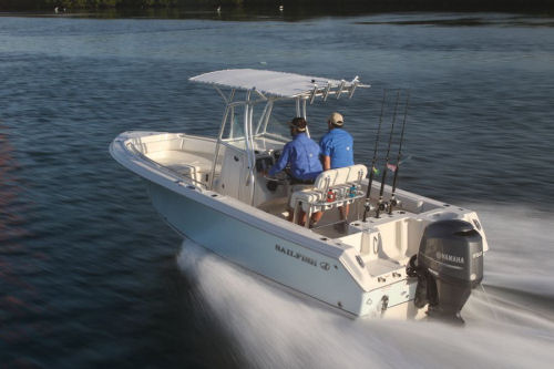 Sailfish 220CC running shot