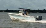 Sea Hunt