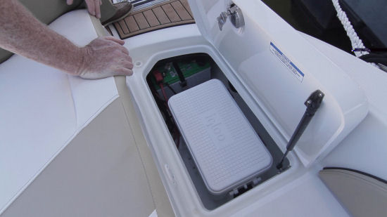 Sea Ray 19 SPX carry on cooler