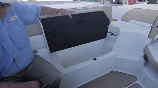 Sea Ray 19 SPX cooler