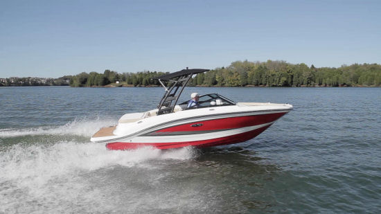 Sea Ray 19 SPX running shot