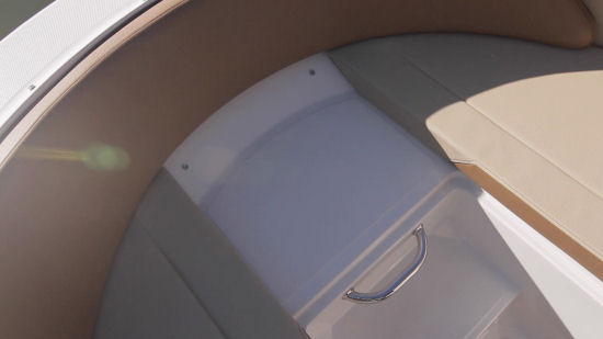 Sea Ray 21 SPX bow steps