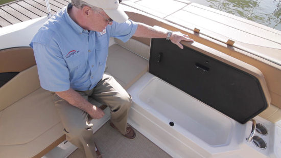 Sea Ray 21 SPX built in cooler