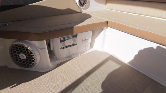 Sea Ray 21 SPX cooler