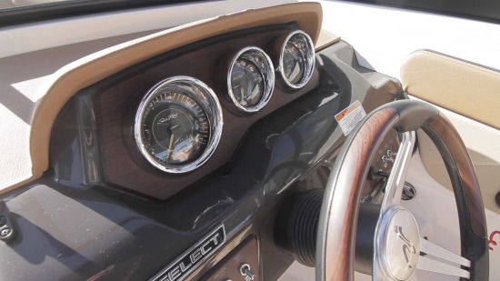 Sea Ray 21 SPX gauges