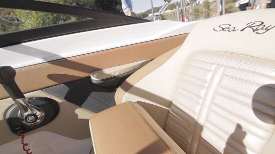 Sea Ray 21 SPX multi color