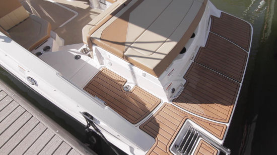 Sea Ray 21 SPX swim platform