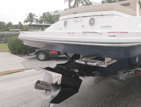 Sea Ray 250 SLX boarding ladder