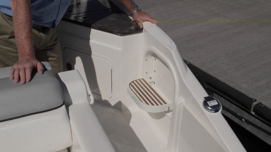 Sea Ray 290 Sundeck step