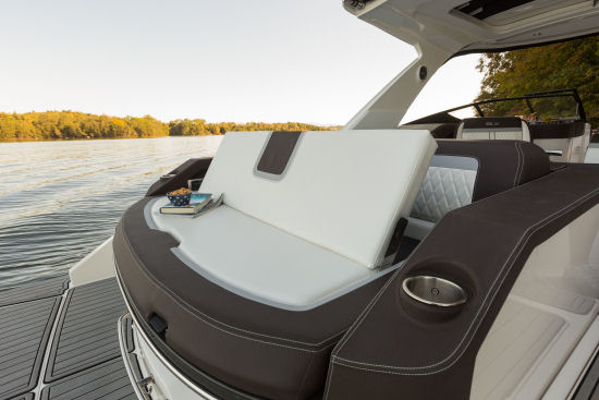 Sea Ray 310 SLX back rest