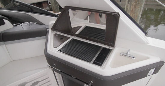 Sea Ray 310 SLX grill
