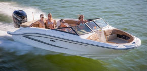 Sea Ray SPX 210 OB