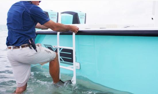 Shallow Sport 32 X3 boarding ladder