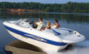 stingray195 ls