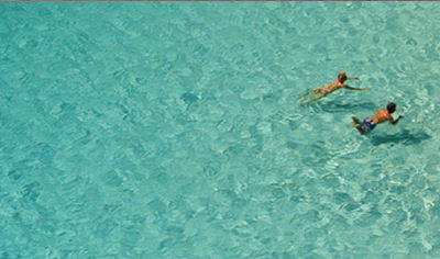 Swim