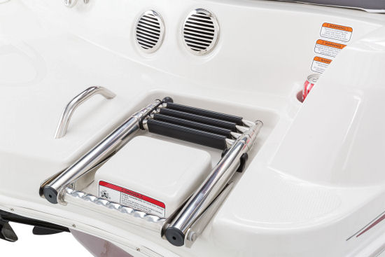 Tahoe 500 TF swim ladder