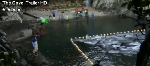 The Cove
