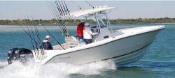 Triton 261CC