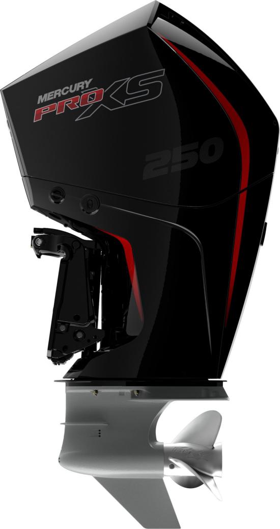 Triton 21 TrX outboard
