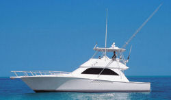 Viking 48SC
