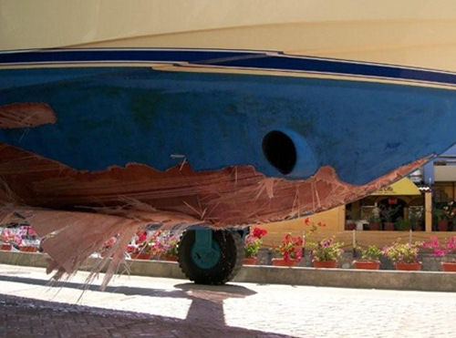 Viking and Whale