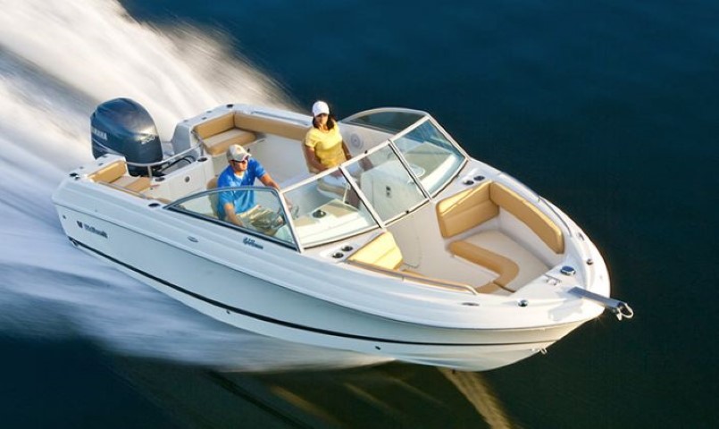 Wellcraft 220 Sportsman