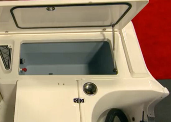 Wellcraft 221 Fisherman livewell