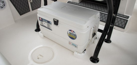 Wellcraft 222 Scarab Offshore cooler